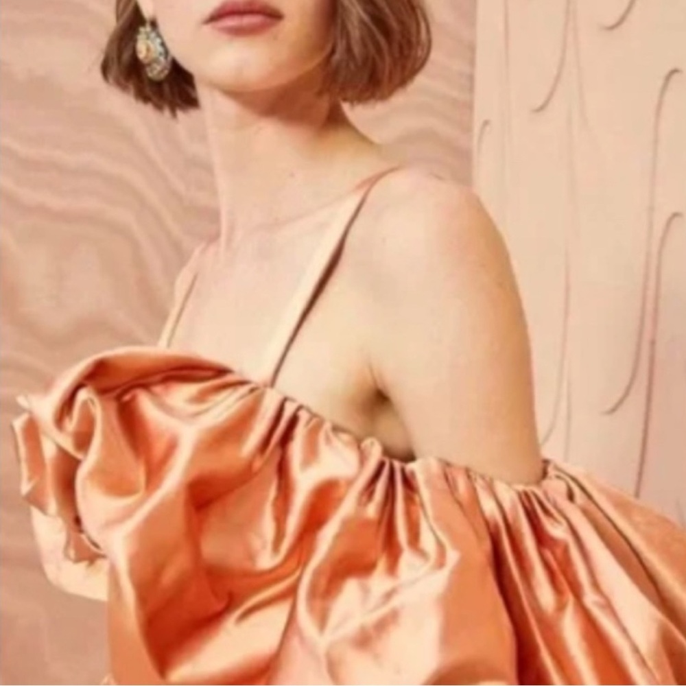 NWT Ulla Johnson Lelita Midi Dress in Copper Sz 4 $1240 - Picture 9 of 14